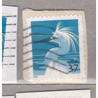 Фауна птицы США 2003 год лот 1068 вырезки цена за 1 марку