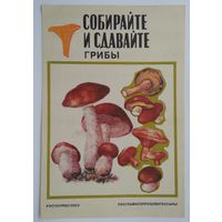 Буклет главкоопторгрекламы ,,собирайте и сдавайте грибы,,1984 г