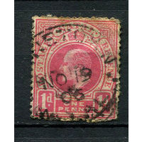 Британские колонии - Natal - 1902 - Король Эдуард VII 1P - [Mi.59] - 1 марка. Гашеная.  (Лот 49BQ)