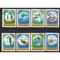 Антарктические животные Монголия 1980 год серия из 8 марок