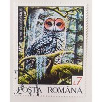 Румыния  1992, сова