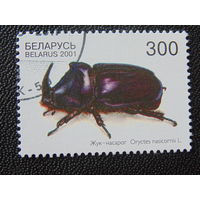 Беларусь 2001 г. Жук - носорог.