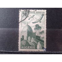 Алжир колония Франции 1949  Авиапочта, птицы