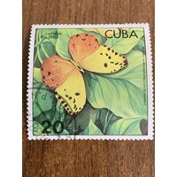 Куба 1982. Бабочки. Марка из серии
