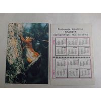 Карманный календарик. Белка.1992 год