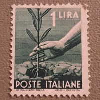 Италия 1945. Оливковое дерево. Стандарт