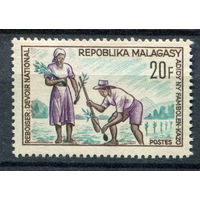 Мадагаскар - 1966г. - Компания по лесовосстановлению - полная серия, MNH [Mi 545] - 1 марка