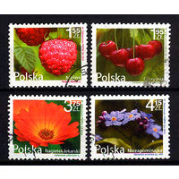 2009 Польша. Цветы и фрукты