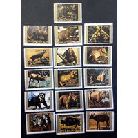 Умм-эль-Кайвайн. ОАЭ 1972 г. Исчезающие виды животных. Фауна, полная серия из 16 марок #0170-Ф1