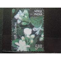 Индия 2008 Цветы