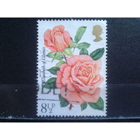 Англия 1976 Розы