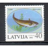 Рыбы Латвия 2002 год 1 марка б/з снизу (так надо).