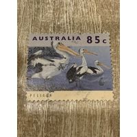 Австралия 1994. Птицы. Пеликаны. Марка из серии