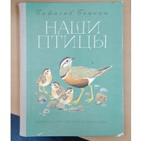 Наши птицы. Виталий Бианки. Большой формат 1983 год. Иллюстрации федотова