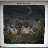 Andy Summers / Robert Fripp "Parade" (12" - Single), 1984