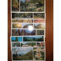 Отдельные открытки из набора Никитский ботанический сад