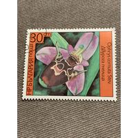 Болгария 1986. Цветы. Ophrys cornuta Stev. Марка из серии