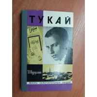 Ибрагим Нуруллин "Тукай" из серии "Жизнь замечательных людей. ЖЗЛ"