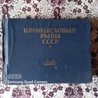 1949 г. Альбом атлас Промысловые рыбы СССР. ПРОДАЮ.