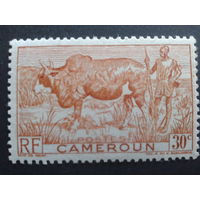 Камерун фр. колония 1946 крупный рогатый скот