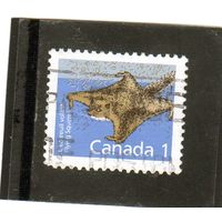 Канада.Ми-1102.Северная летящая белка.Серия: 1988-93: канадские млекопитающие.