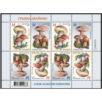 2024г Беларусь MNH  Малый лист "Грибы-двойники"