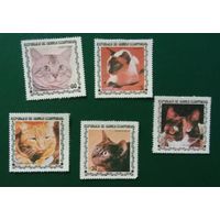 Набор марок Кошки Экваториальная Гвинея