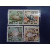 Индонезия 1969 Ракушки полная серия
