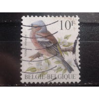 Бельгия 1990 Стандарт, птица 10 франков