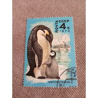 СССР 1978. Императорский пингвин