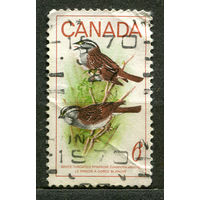 Фауна. Птицы. Воробьи. Канада. 1969