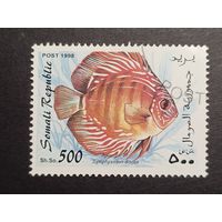 Сомали 1998. Рыбы