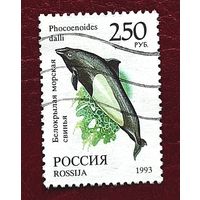 Россия: дельфин