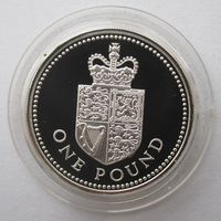 Великобритания 1 фунт 1988 серебро.    .Р-38