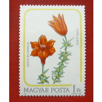 Венгрия. Цветы. ( 1 марка ) 1985 года. 4-9.