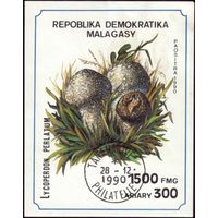 Блок и 7 марок 1990 год Мадагаскар Грибы 1288-1294 и 154