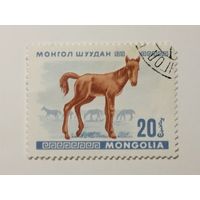 Монголия 1968. Молодые животные.