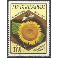 Болгария. Медоносы и пчёлы. Подсолнечник. 1987г. Mi#3583.