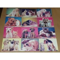 Календарики 1990 Коты. Собаки. Дружба между животными. 12 шт. одним лотом