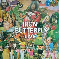 Iron Butterfly /Live/1970, WB, LP, EX, Germany
