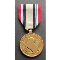 США. Медаль .За Иракскую кампанию.