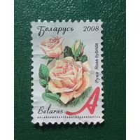 Марка Беларусь 2008 стандарт Роза