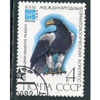 СССР 1982.. Фауна. Белоплечий орлан
