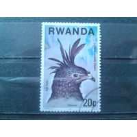 Руанда 1977 Птица