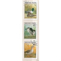 Птицы. 3 марки из серии, 1980г.,гаш. Венгрия.