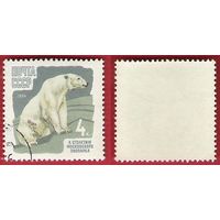 СССР 1964 100-летие Московского зоопарка. Белый медведь