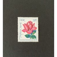 Цветы Розы Флора ГДР Германия 1972 Mi 1780