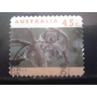 Австралия 1994 Коала на дереве