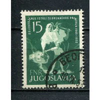 Югославия - 1953 - 10 лет со дня освобождения Истрии - [Mi. 733] - полная серия - 1 марка. Гашеная.  (LOT AE46)