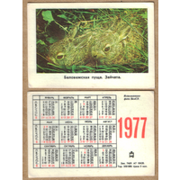 Календарь Беловежская пуща Зайчата 1977